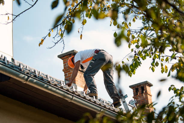 Best Chimney Flashing Repair  in Papillion, NE
