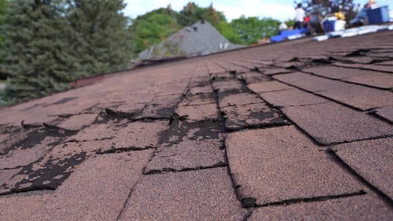 Best Slate Roofing  in Papillion, NE
