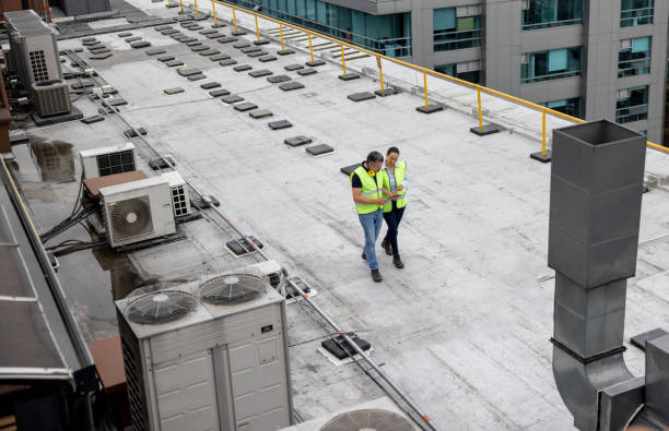 Best Roof Maintenance and Cleaning  in Papillion, NE