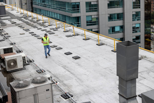 Best Commercial Roofing Services  in Papillion, NE