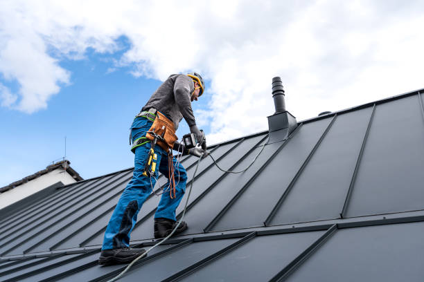 Best Skylights  in Papillion, NE