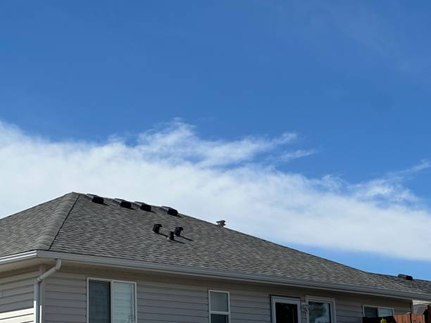 Best Roof Leak Repair  in Papillion, NE